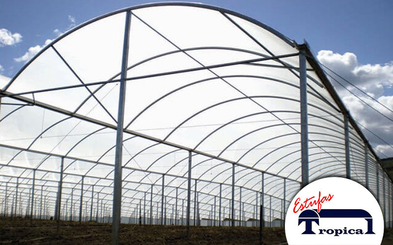 Estufa da Tropical Estufas Agrícolas